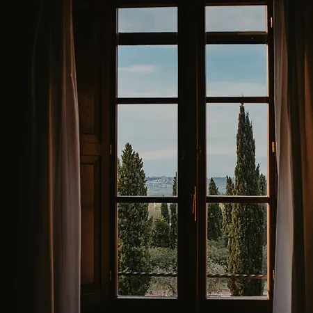 Terra Di Dio Toscanizzazione Капанноли