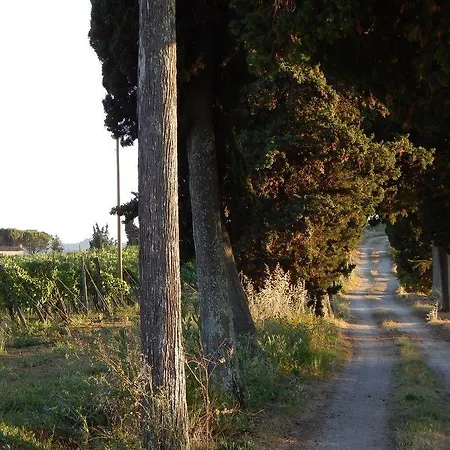 ファームステイ Terra Di Dio Toscanizzazione