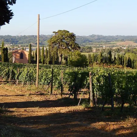 Terra Di Dio Toscanizzazione ファームステイ