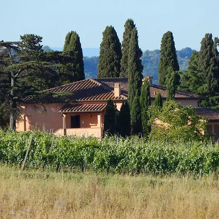 Terra Di Dio Toscanizzazione * カパンノリ